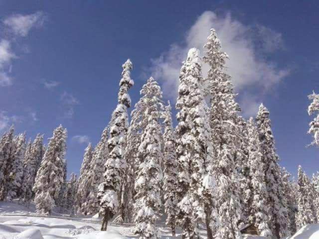 Sheen Homestay Gulmarg Exterior foto